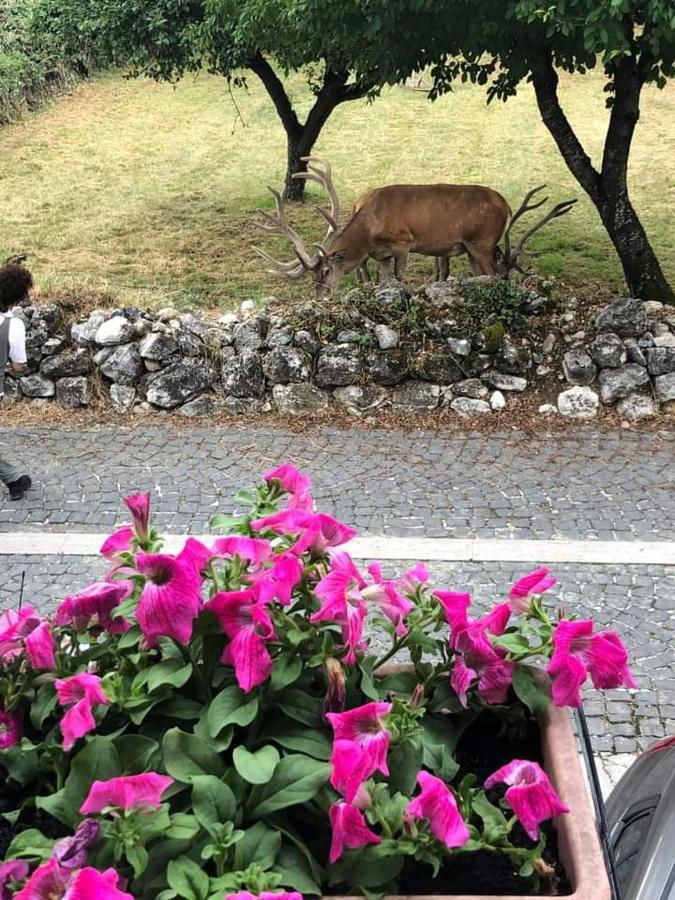 Casa Vacanze Daniela Villetta Barrea Zewnętrze zdjęcie